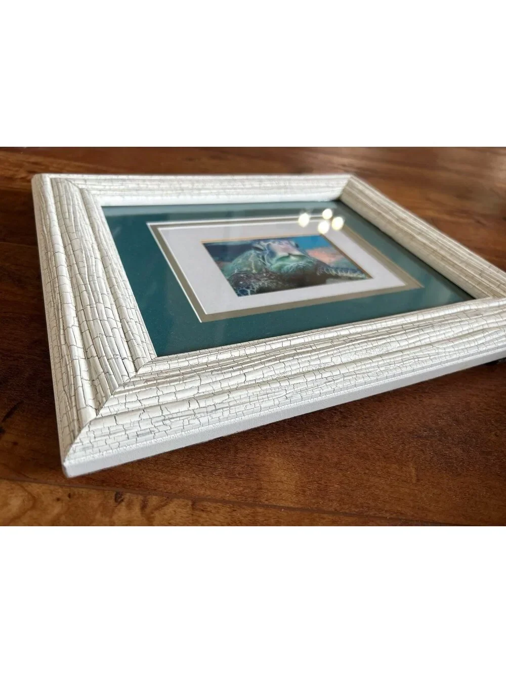 Framed Sea Turtle Photograph with Textured White Frame and Green Matting